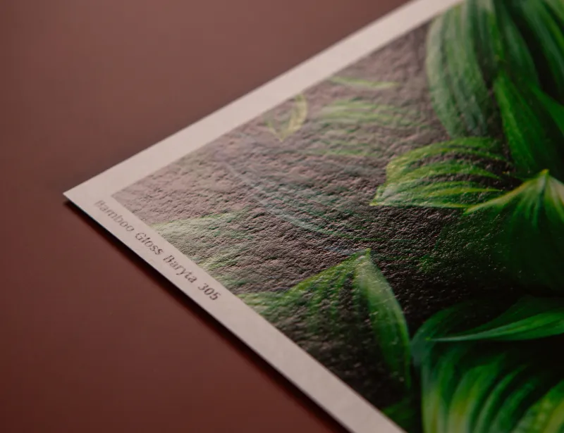 Detail Fine Art papiera Bamboo Gloss Baryta 305