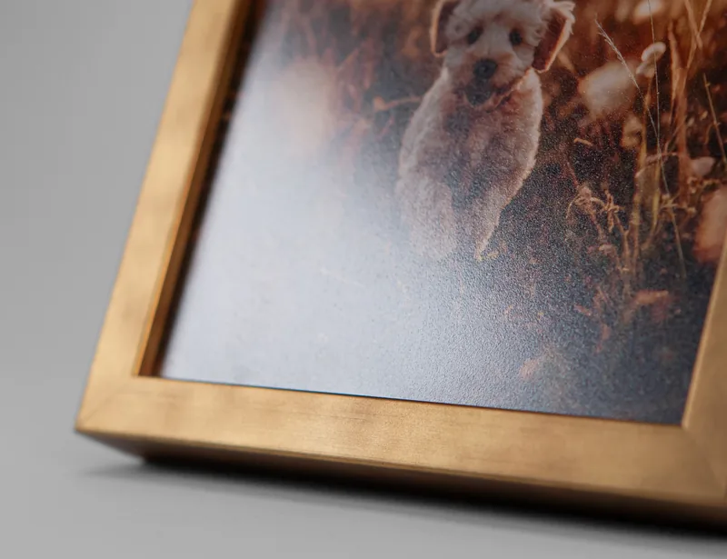 Fotografia v ráme Smart s antireflexným sklom