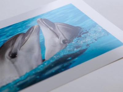 Náhľad tlačenej fotografie s veľkým bielym rámikom